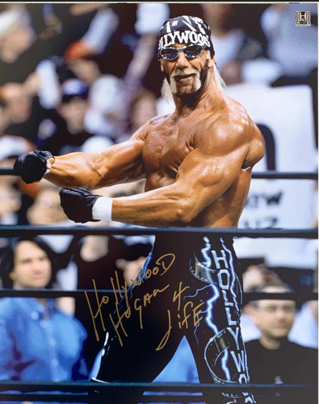 Hollywood Hogan Signed Poster 16X20 Hogan's Beach Shop Hollywood Hogan Signed Poster 16X20 -Best Souvenir Shop 382995b8 408a 4b27 bbd0 8c8ac0a0afa8