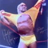 Hogan's Beach Shop Hulk Hogan Ripping Shirt Signed 16x20 -Best Souvenir Shop IMG 0599