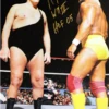 Hogan's Beach Shop Hulk Hogan Signed Hogan Vs Andre Poster -Best Souvenir Shop Signed Hogan vs Andre Poster