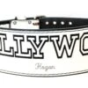 Hogan's Beach Shop Hollywood Hogan White Weight Belt -Best Souvenir Shop hogansbeachshop pp 173 54bfbd3d 2196 49eb 9471 97e51658068d